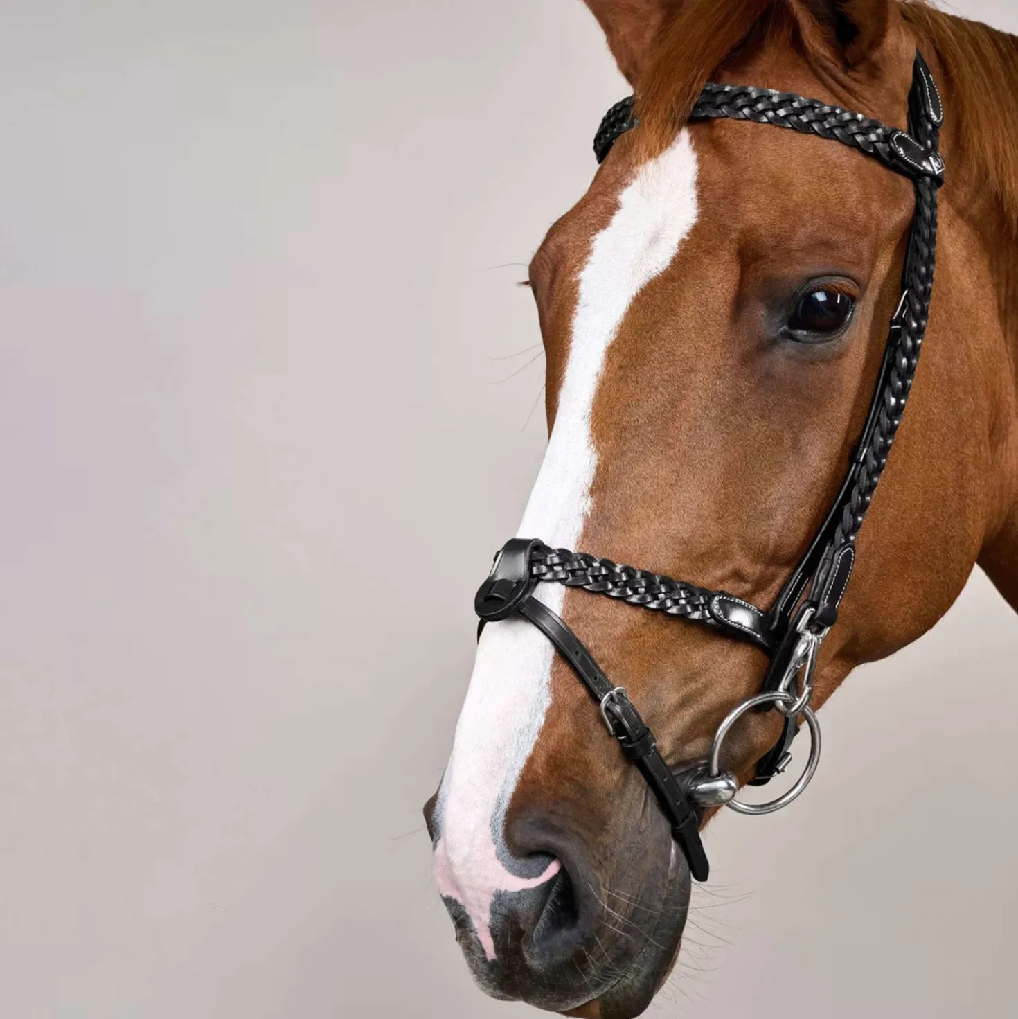 Dyon Hoofdstel Training Zwart