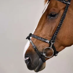 Dyon Hoofdstel Training Zwart