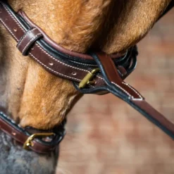 Dyon Martingaal Voorstuk Standing Bruin
