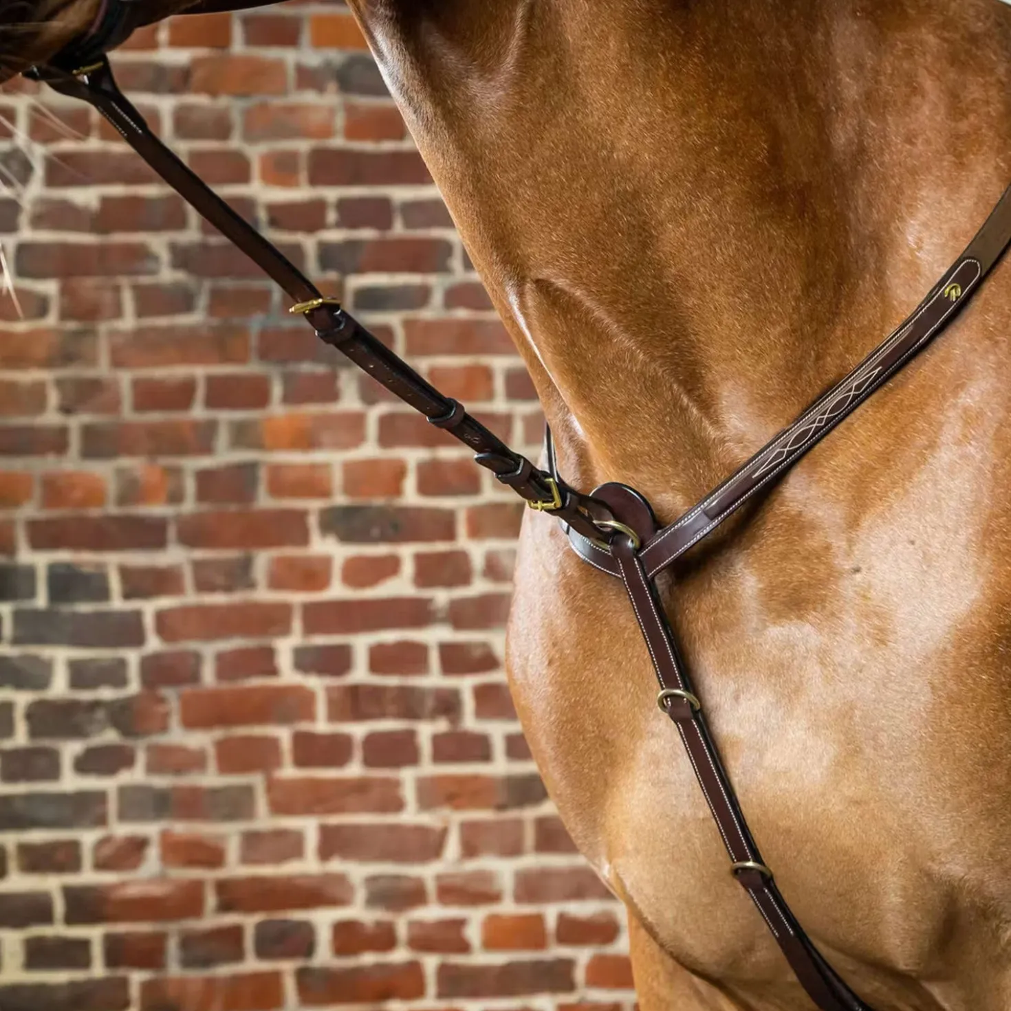 Dyon Martingaal Voorstuk Standing Bruin
