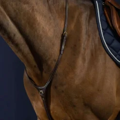 Dyon Martingaal Yoke Bruin