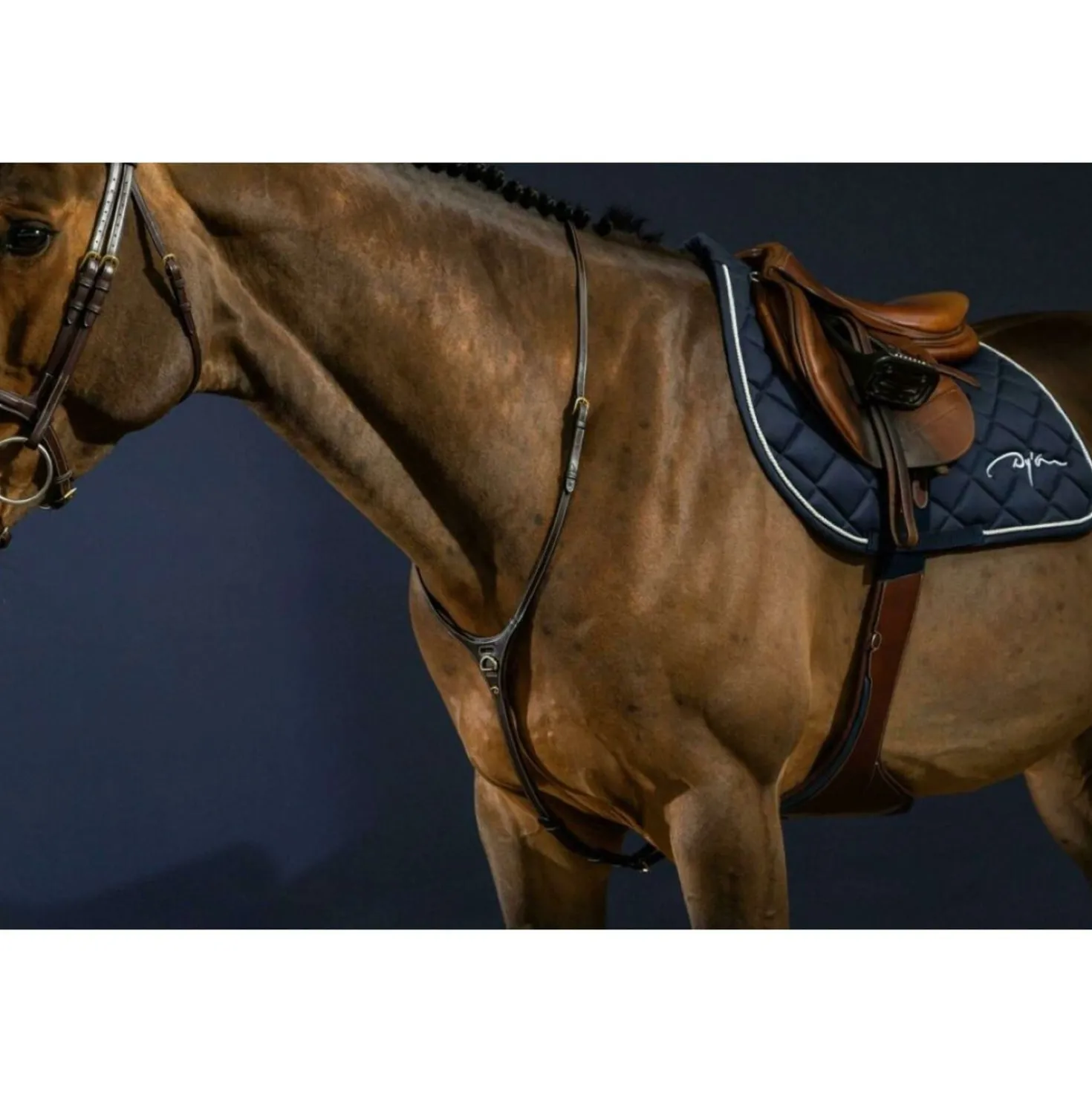 Dyon Martingaal Yoke Bruin