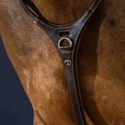 Dyon Martingaal Yoke Bruin
