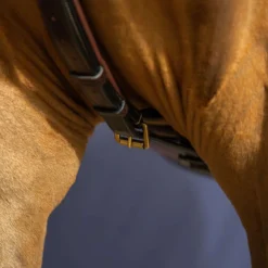 Dyon Martingaal Yoke Bruin