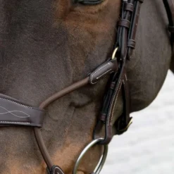 Dyon Neusriem Hybrid Elastisch Bruin