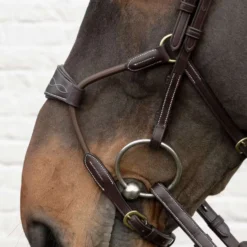 Dyon Neusriem Hybrid Elastisch Bruin