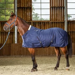 Dyon Staldeken Summer Navy
