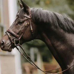 Dyon Teugels Hunter 5/8 met Leren Stops Bruin