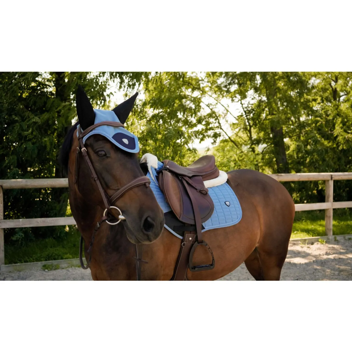 Ekkia Oornetje PRO Combo Master Blauw