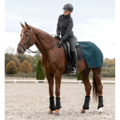 ELT Jack Ravenna Riding Zwart