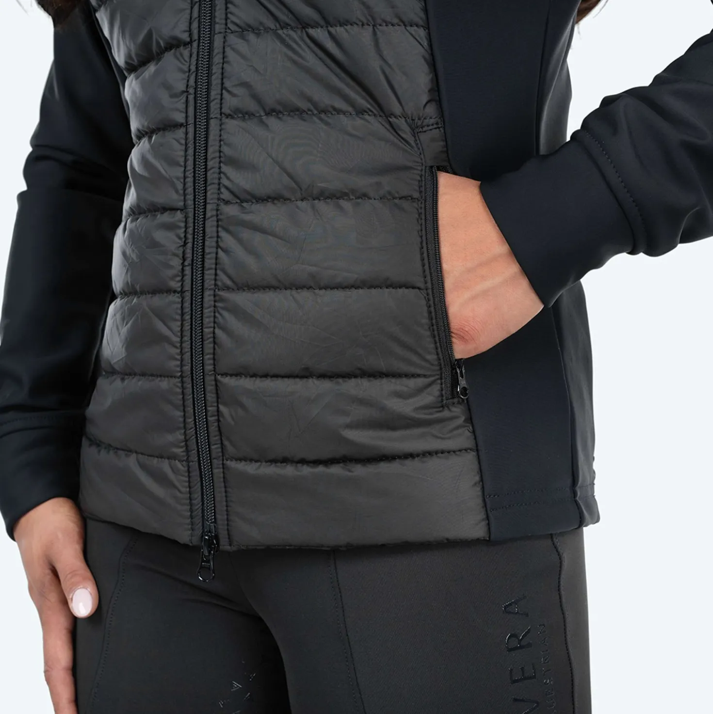Elvera Equestrian Jack EEHavilina Zwart
