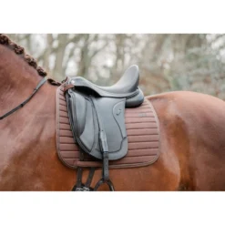 EQPRO Zadeldekje Softshell Dressuur Chocolade