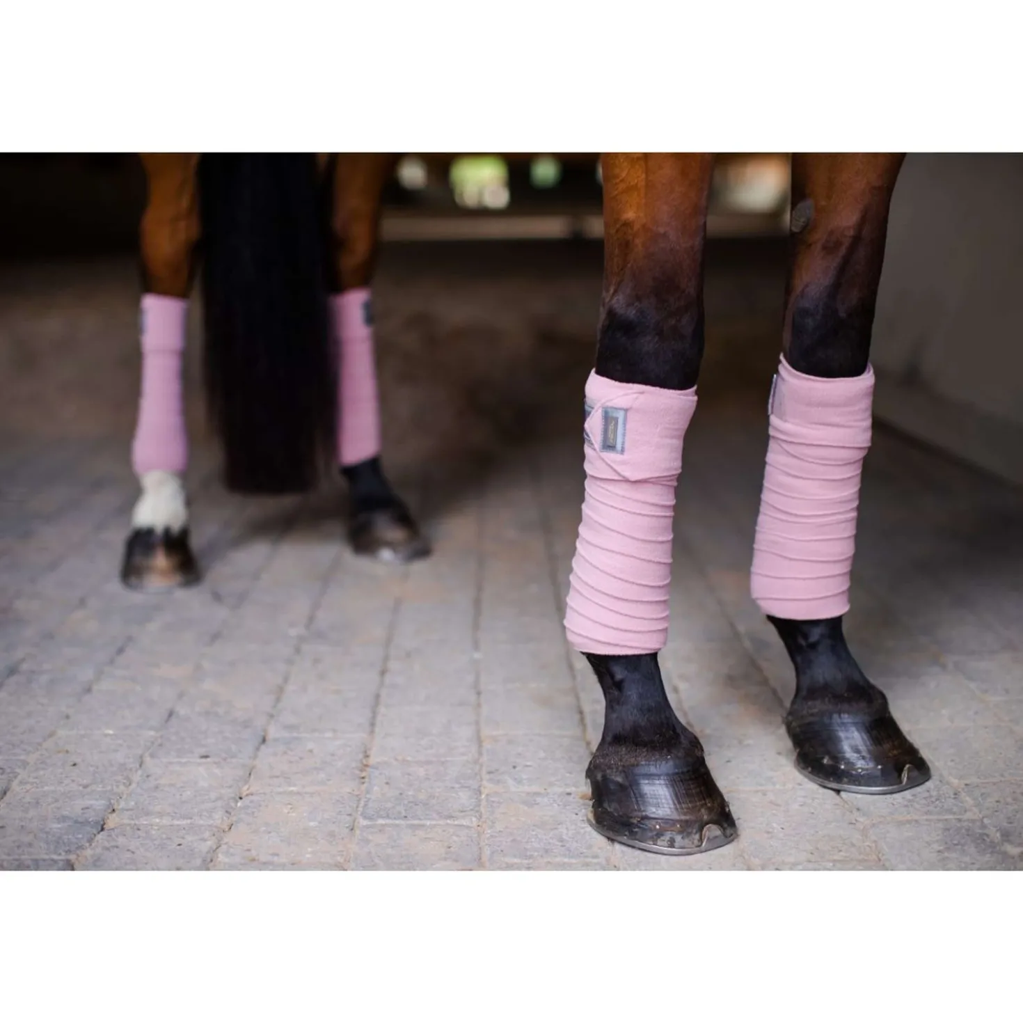 Equestrian Stockholm Bandages Roze