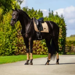 Equestrian Stockholm Beenbeschermers Classic Mesh Midsummer Glow