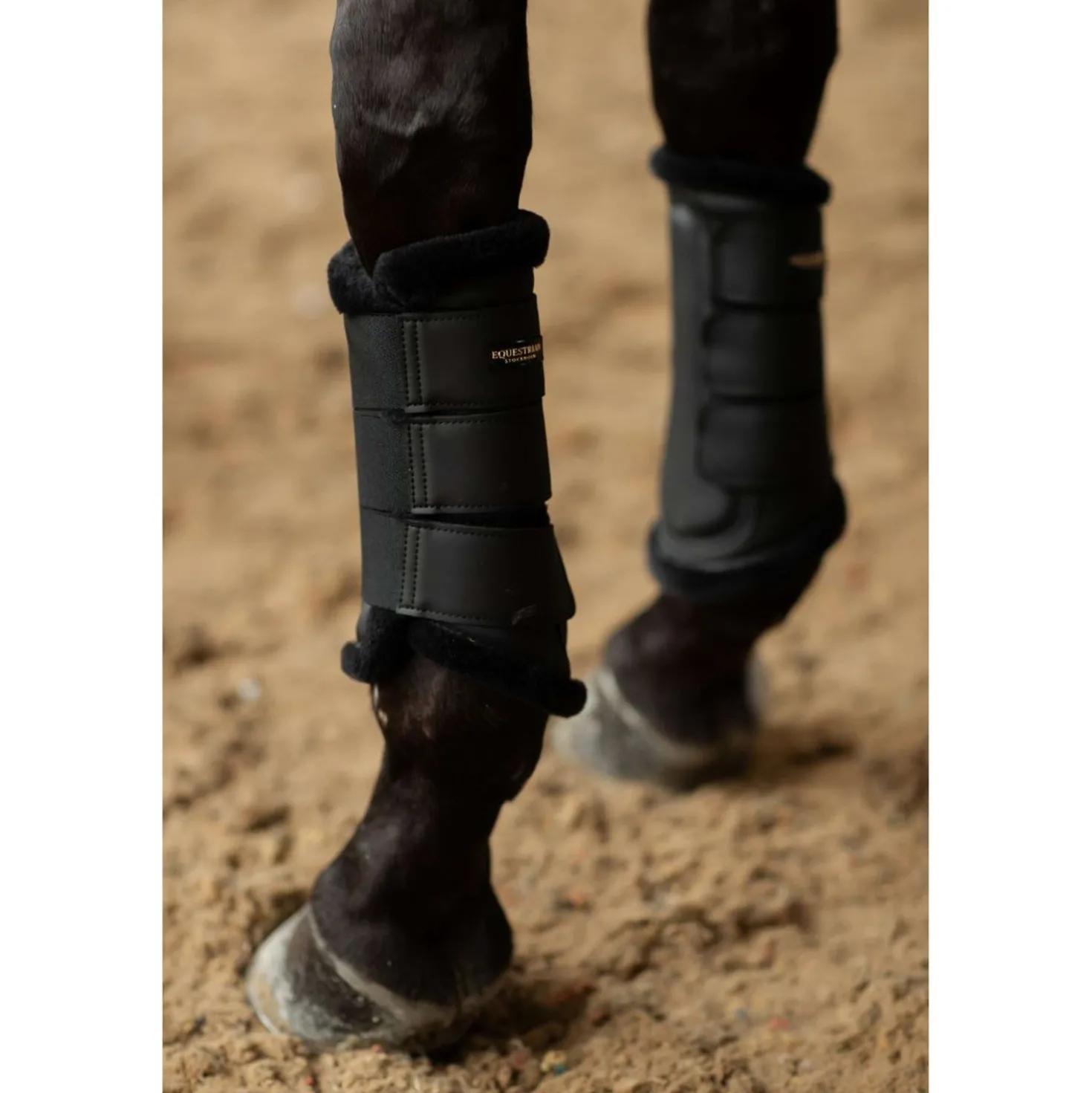 Equestrian Stockholm Beenbeschermers Zwart