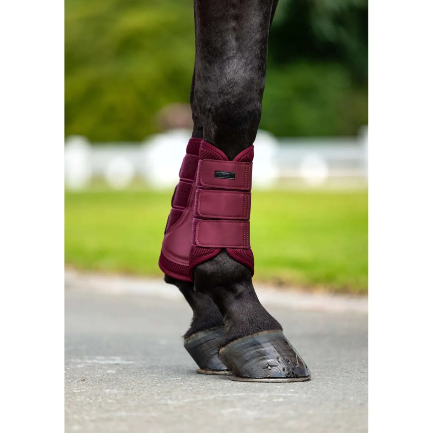 Equestrian Stockholm Beenbeschermers Mesh Merlot