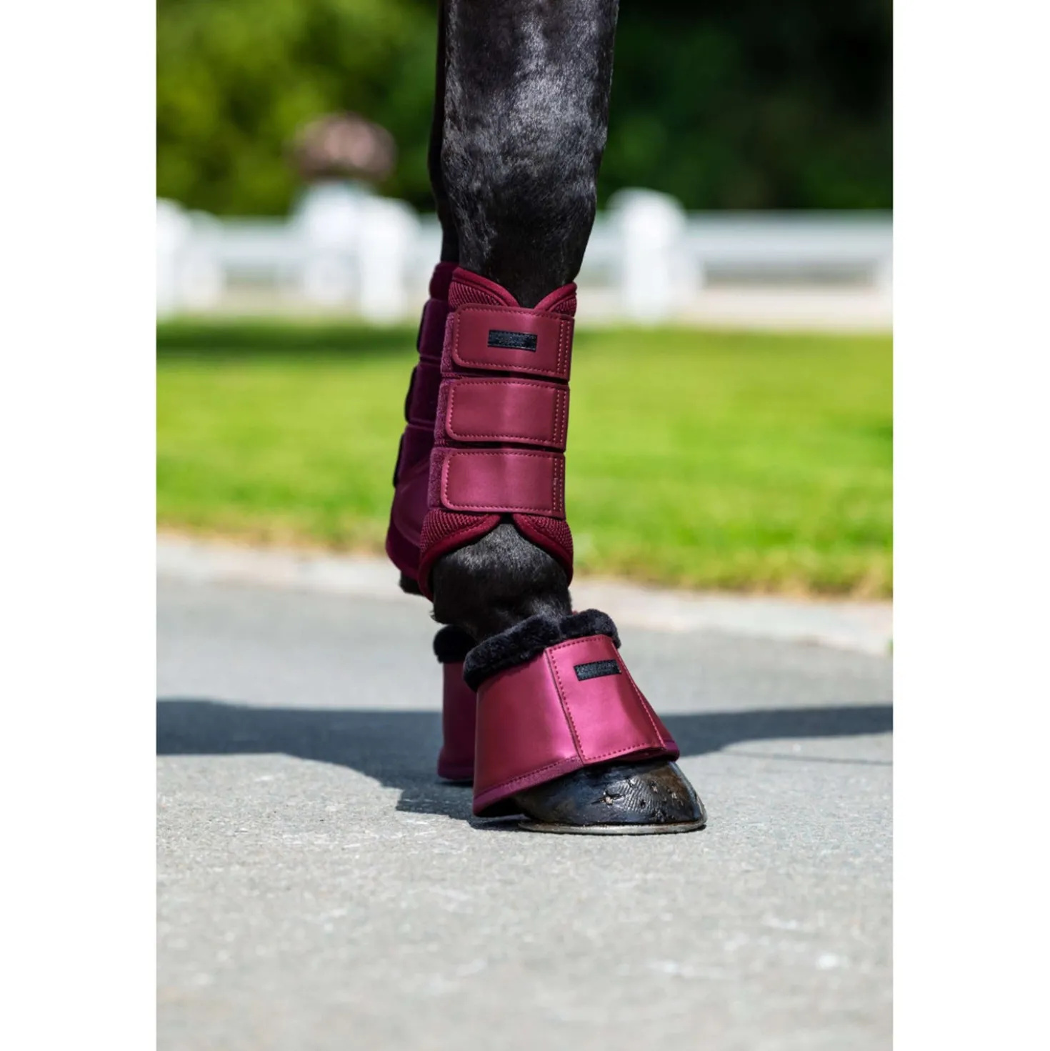 Equestrian Stockholm Beenbeschermers Mesh Merlot