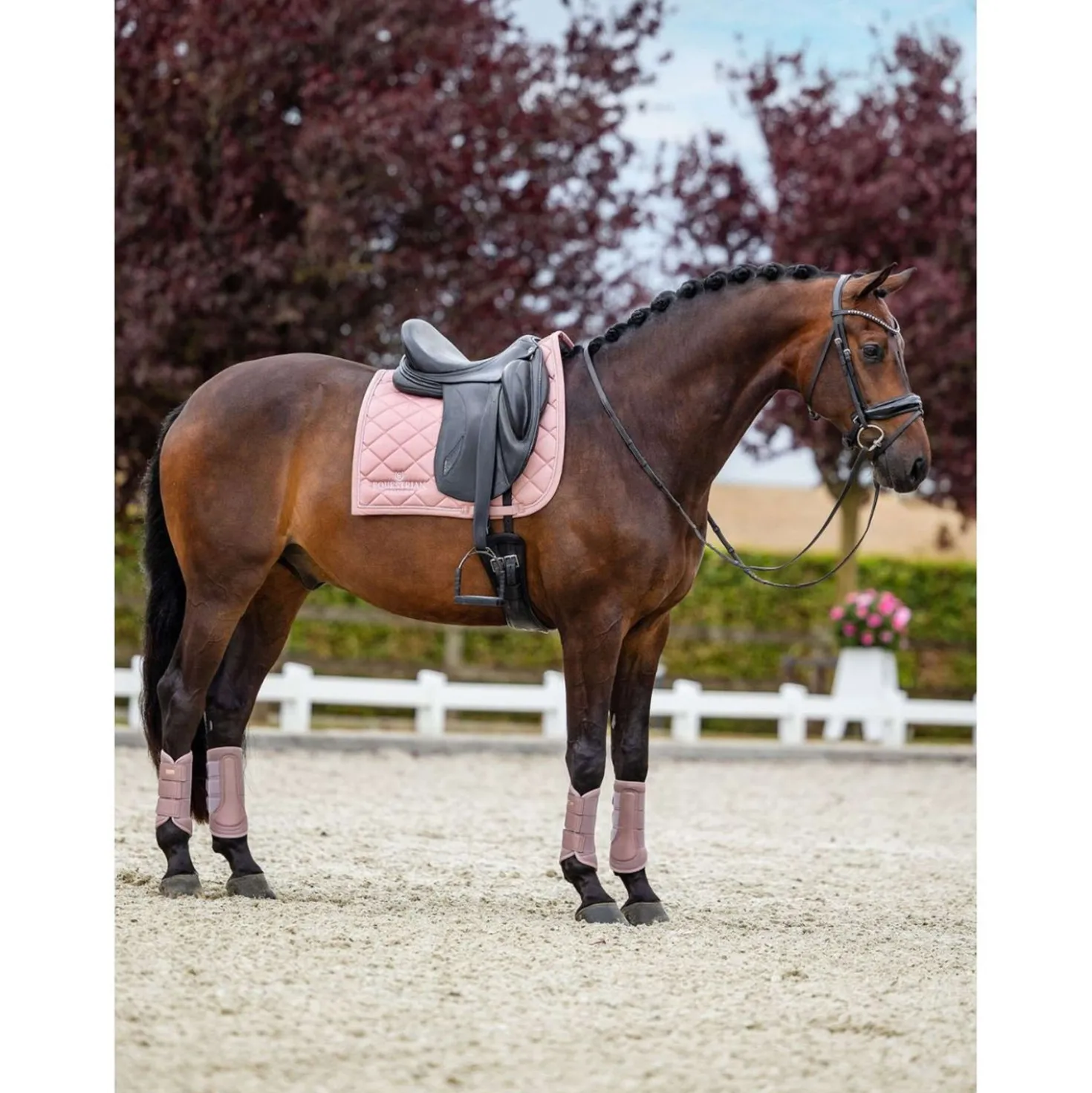 Equestrian Stockholm Beenbeschermers Classic Mesh Roze