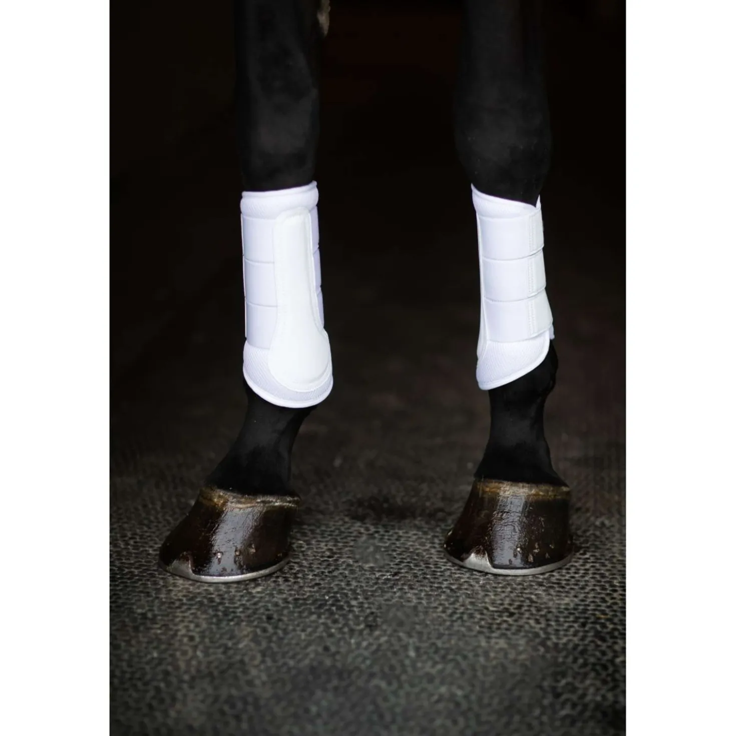 Equestrian Stockholm Beenbeschermers Classic Mesh White Silver