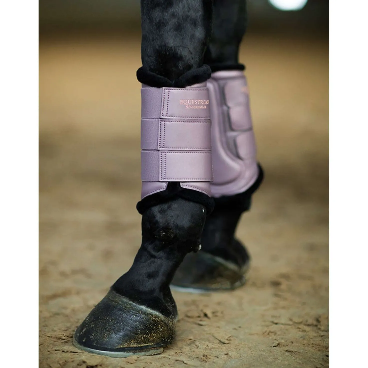Equestrian Stockholm Beenbeschermers Anemone
