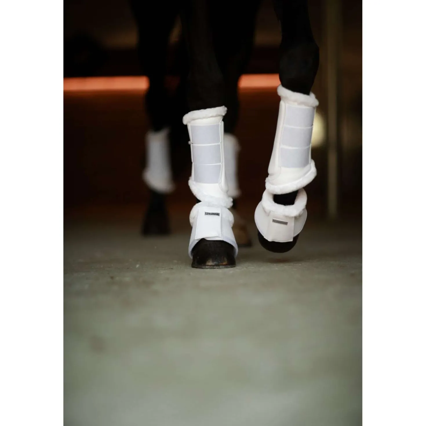 Equestrian Stockholm Beenbeschermers White Silver