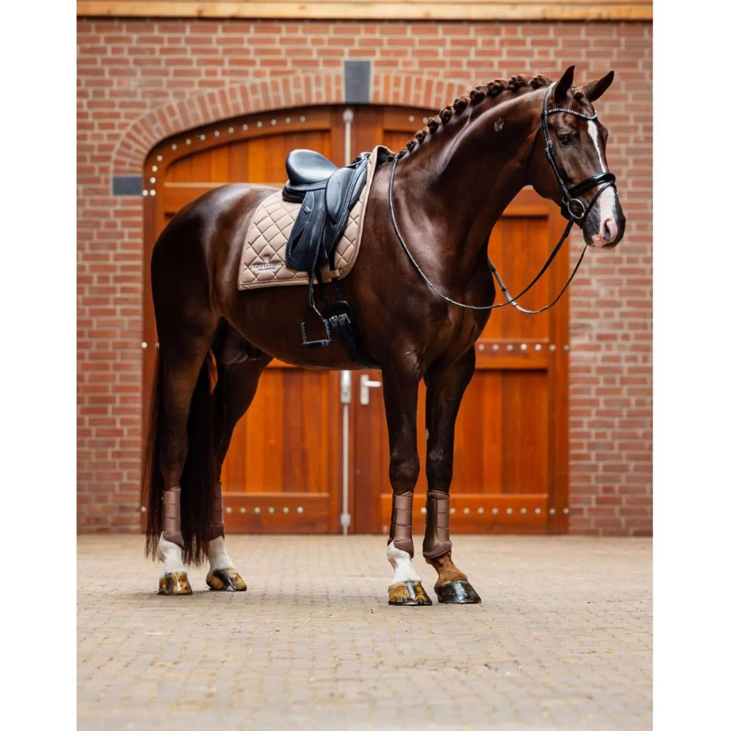 Equestrian Stockholm Beenbeschermers Classic Mesh Champagne