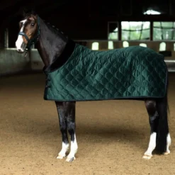 Equestrian Stockholm Fleecedeken Velvet Sycamore Green