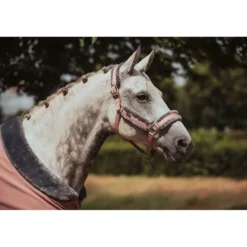 Equestrian Stockholm Fleecedeken Fur Roze