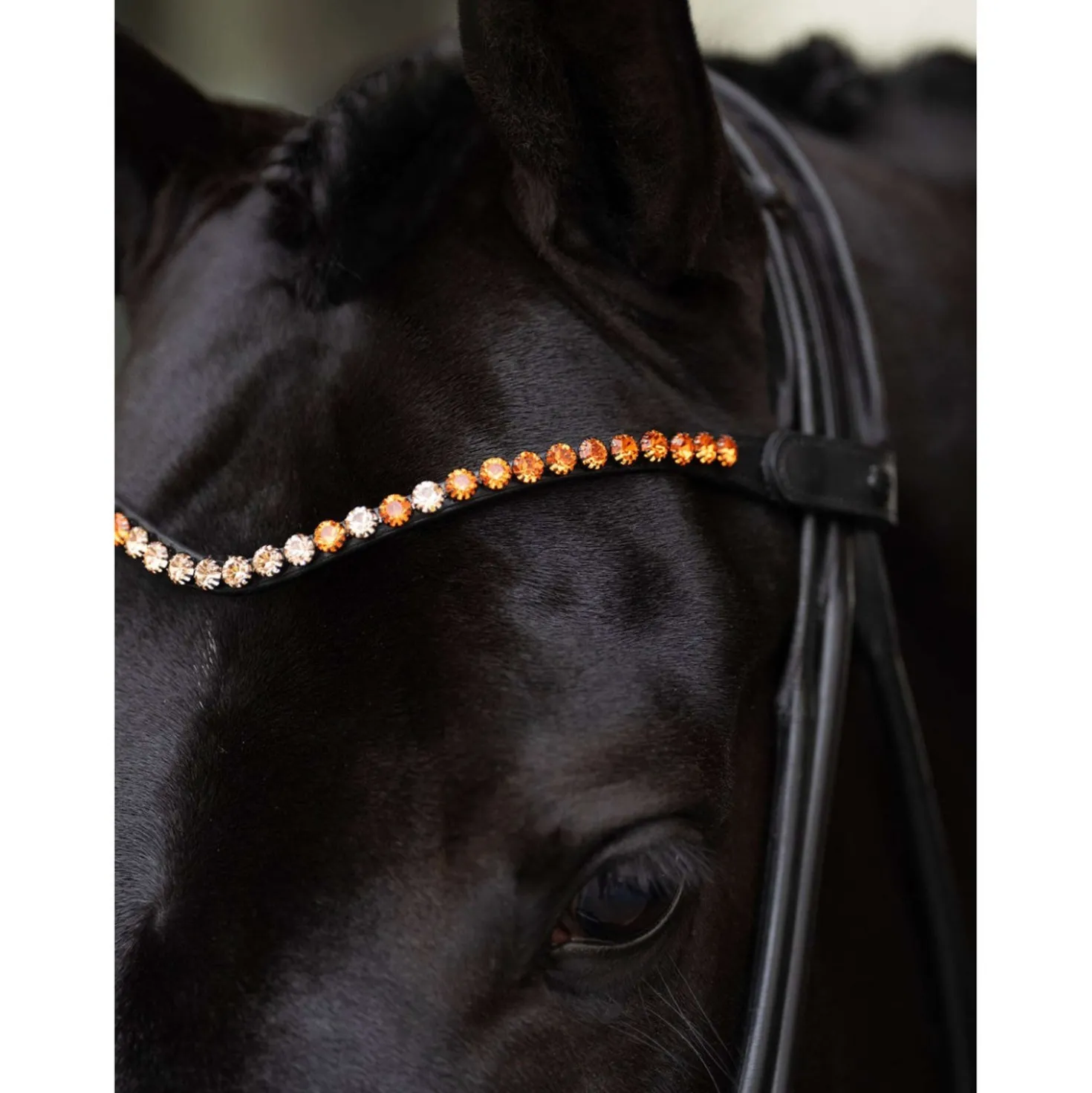 Equestrian Stockholm Frontriem Faded 8mm Chestnut