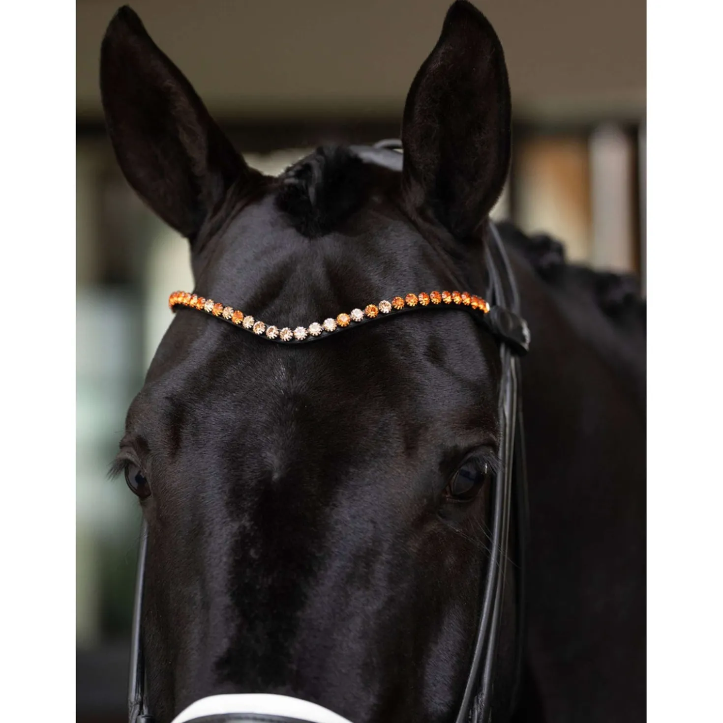 Equestrian Stockholm Frontriem Faded 8mm Chestnut