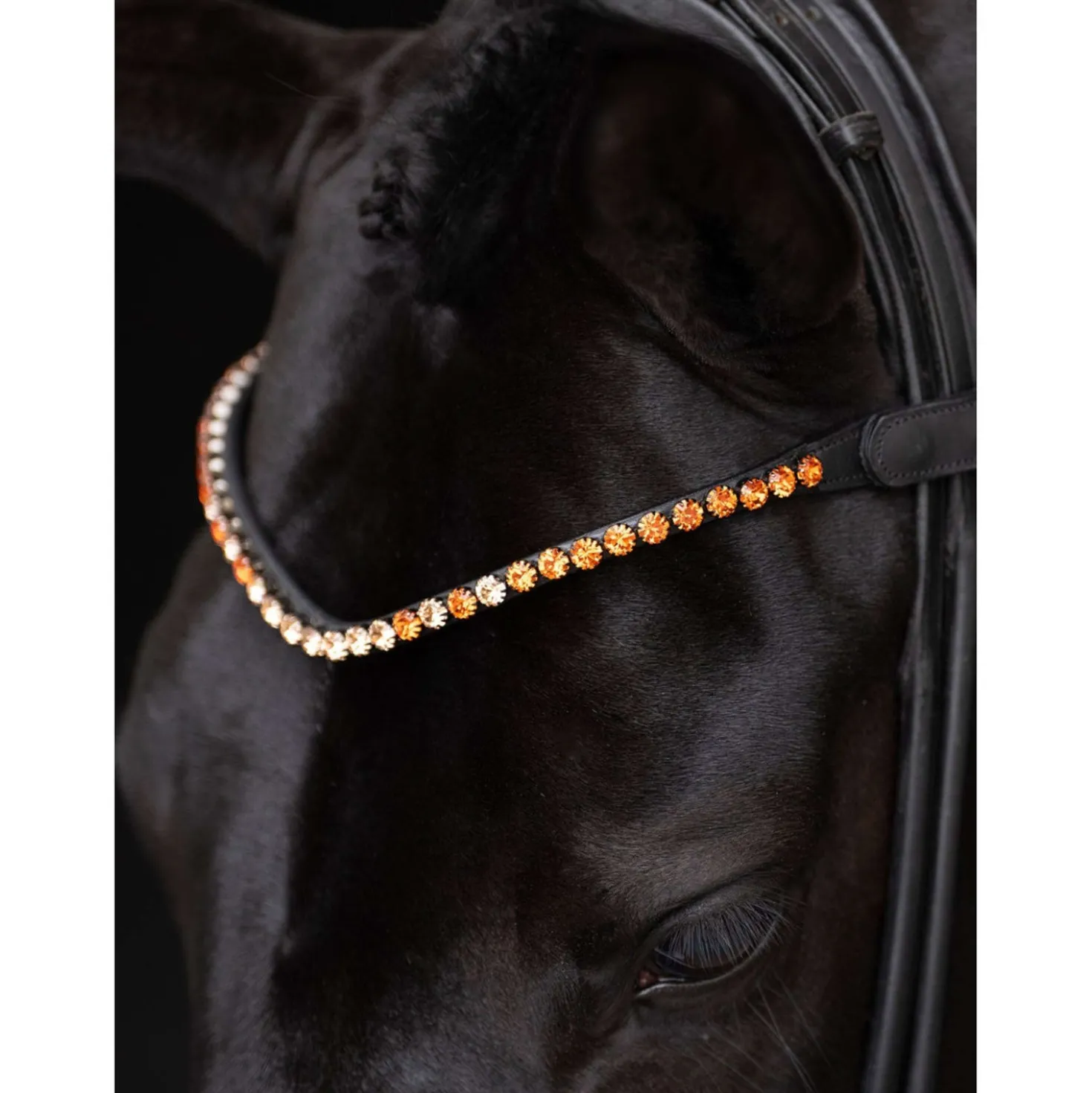 Equestrian Stockholm Frontriem Faded 8mm Chestnut