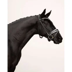 Equestrian Stockholm Frontriem Faded 8mm Crystal