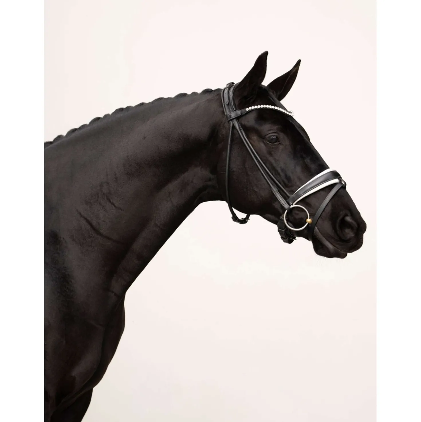 Equestrian Stockholm Frontriem Faded 8mm Crystal