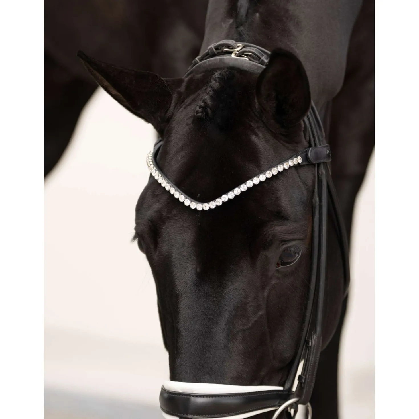 Equestrian Stockholm Frontriem Faded 8mm Crystal