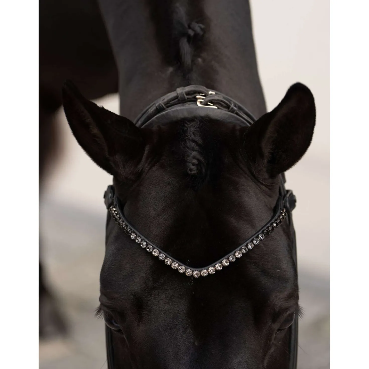 Equestrian Stockholm Frontriem Faded 8mm Zwart