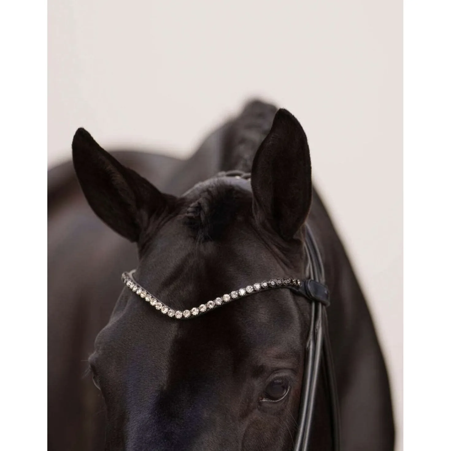 Equestrian Stockholm Frontriem Faded 8mm Zwart