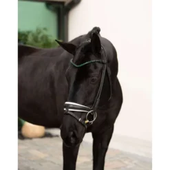 Equestrian Stockholm Frontriem Faded 8mm Sycamore Green