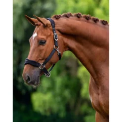 Equestrian Stockholm Halster Anatomic Fleece Zwart
