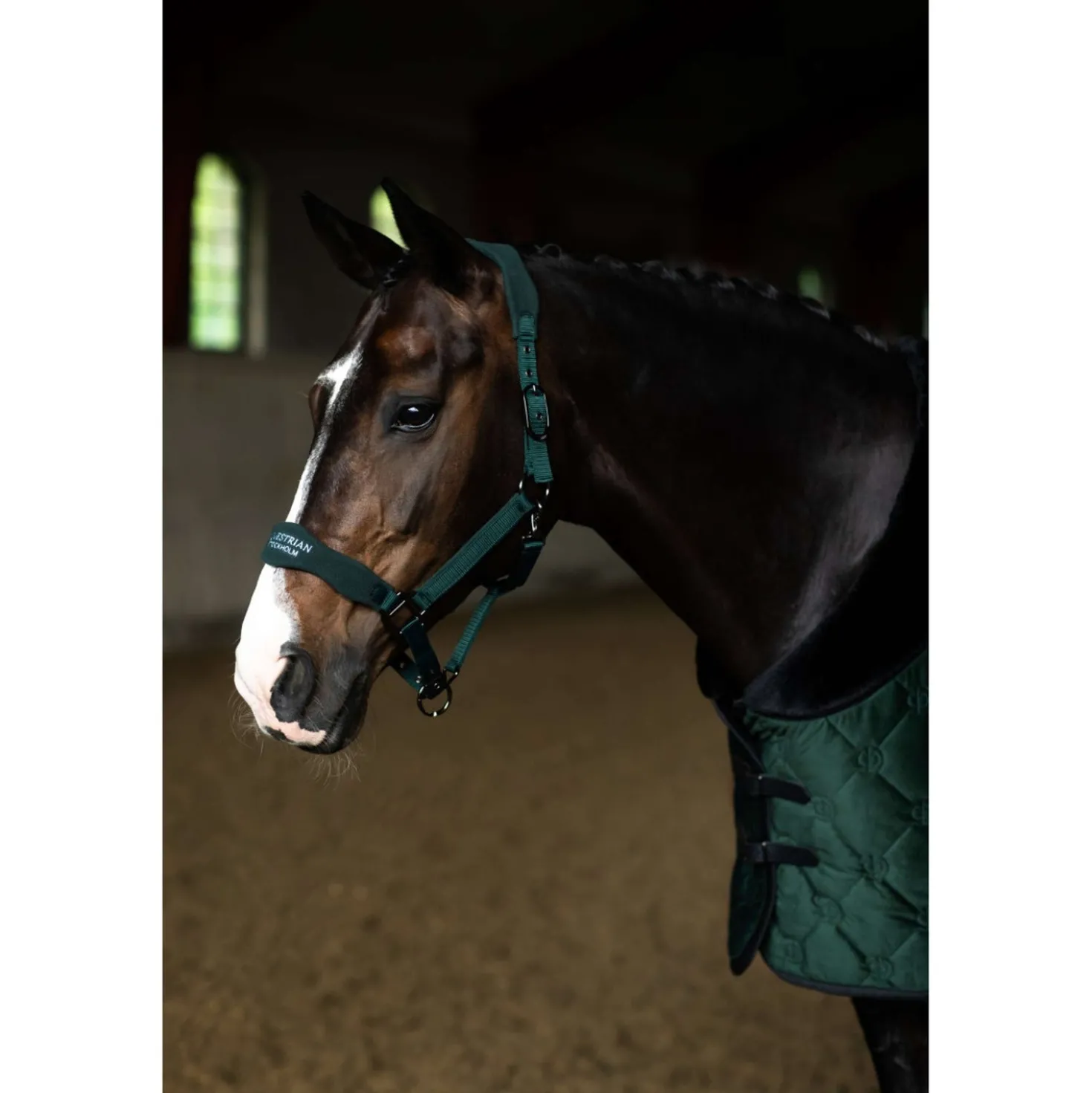 Equestrian Stockholm Halster Anatomic Fleece Sycamore Green