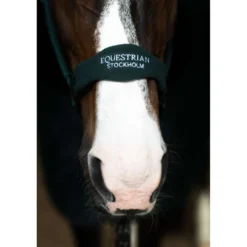 Equestrian Stockholm Halster Anatomic Fleece Sycamore Green