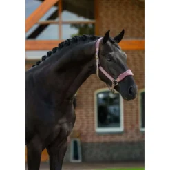 Equestrian Stockholm Halster Anatomic Fleece Blush