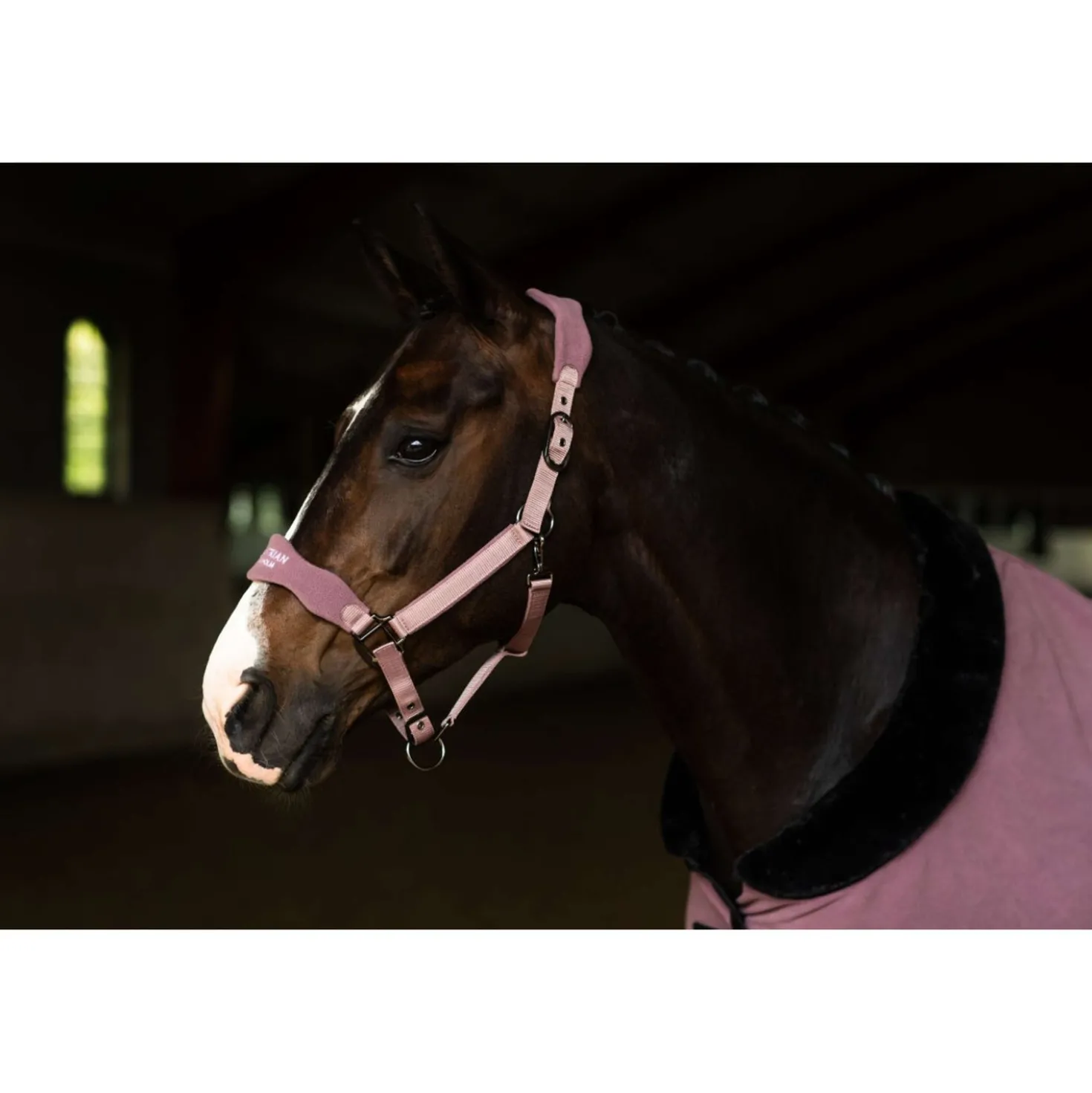 Equestrian Stockholm Halster Anatomic Fleece Blush