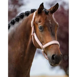 Equestrian Stockholm Halster Line Roze