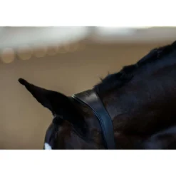 Equestrian Stockholm Halster Glimmer Anatomic Leather Zwart