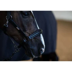 Equestrian Stockholm Halster Glimmer Anatomic Leather Zwart