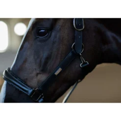 Equestrian Stockholm Halster Glimmer Anatomic Leather Zwart