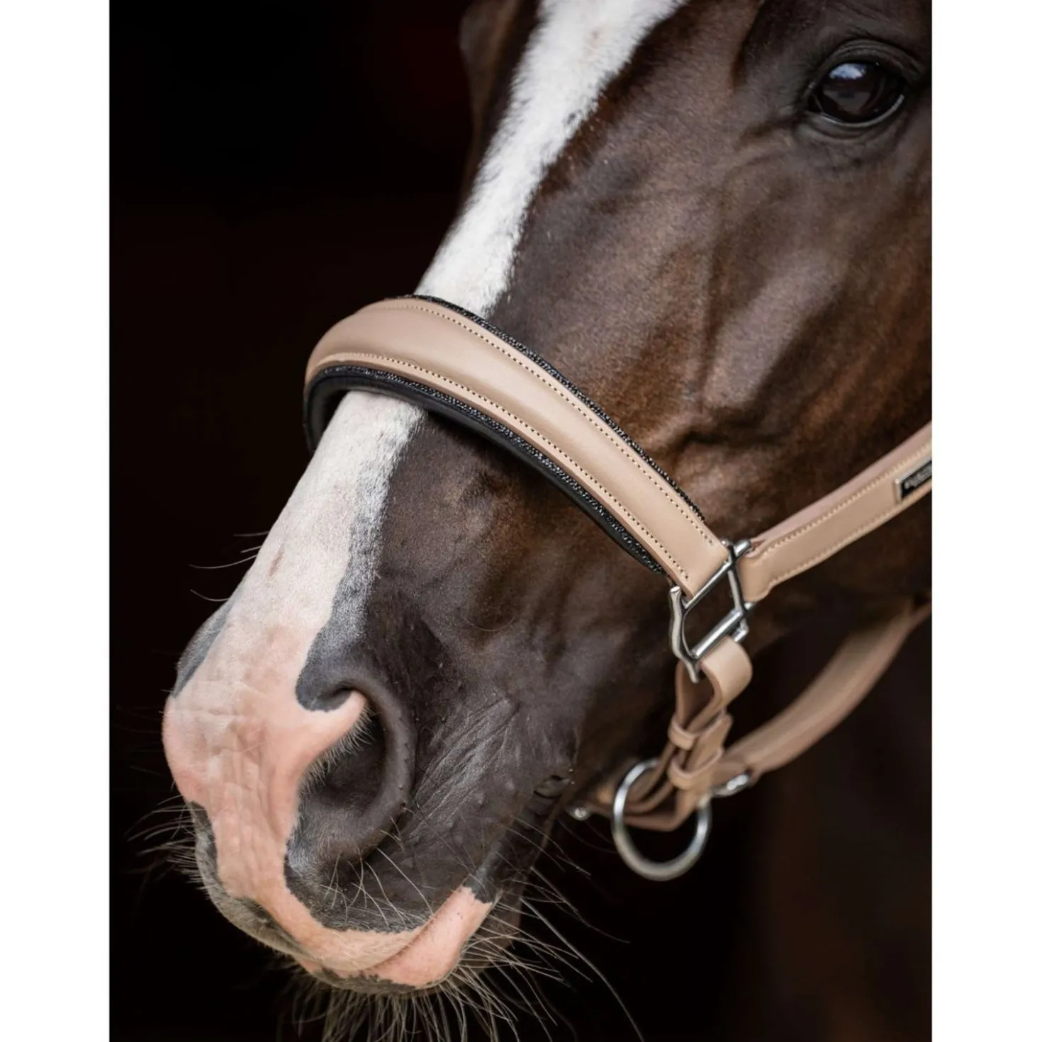 Equestrian Stockholm Halster Glimmer Leather Anatomic Sand