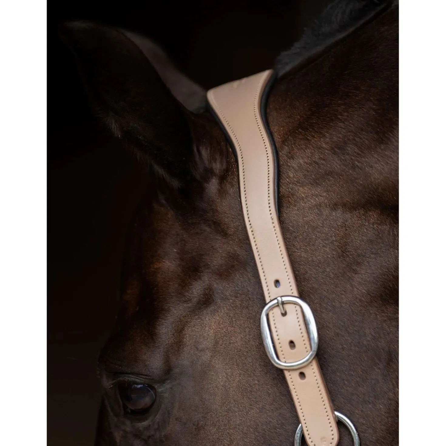 Equestrian Stockholm Halster Glimmer Leather Anatomic Sand