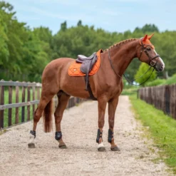 Equestrian Stockholm Oornetje Satin Chestnut