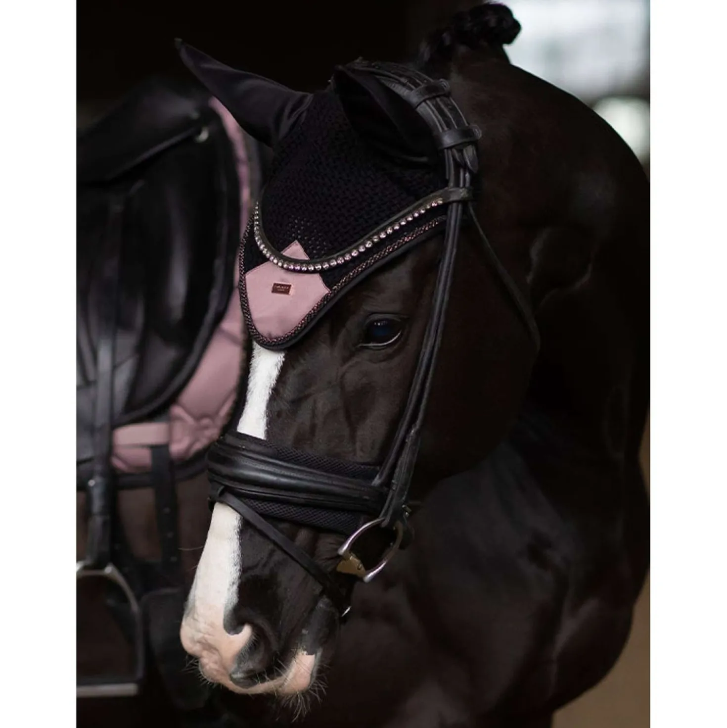 Equestrian Stockholm Oornetje Anemone